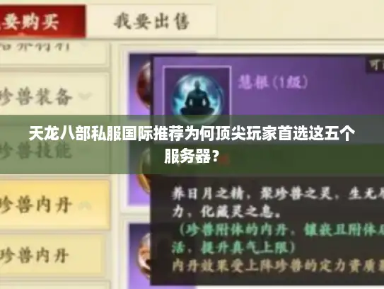 天龙八部私服国际推荐为何顶尖玩家首选这五个服务器？