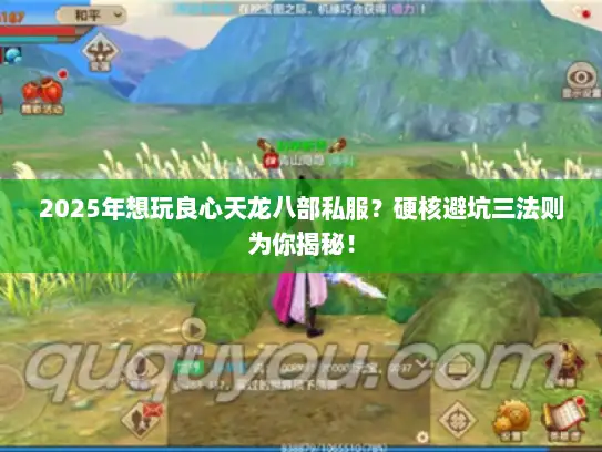 2025年想玩良心天龙八部私服？硬核避坑三法则为你揭秘！