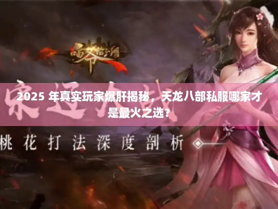 2025 年真实玩家爆肝揭秘，天龙八部私服哪家才是最火之选？