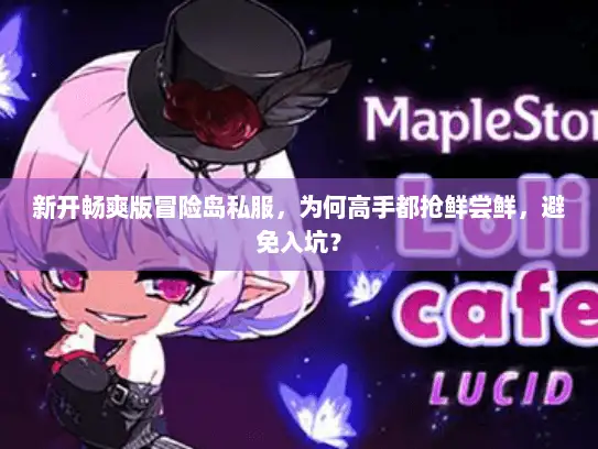 新开畅爽版冒险岛私服，为何高手都抢鲜尝鲜，避免入坑？