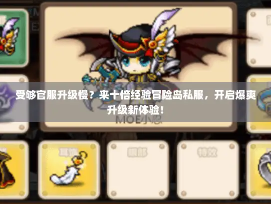受够官服升级慢？来十倍经验冒险岛私服，开启爆爽升级新体验！