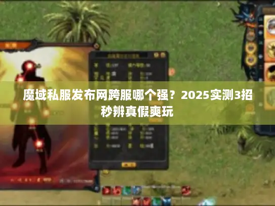 魔域私服发布网跨服哪个强？2025实测3招秒辨真假爽玩