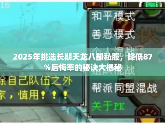 2025年挑选长期天龙八部私服，降低87%后悔率的秘诀大揭秘