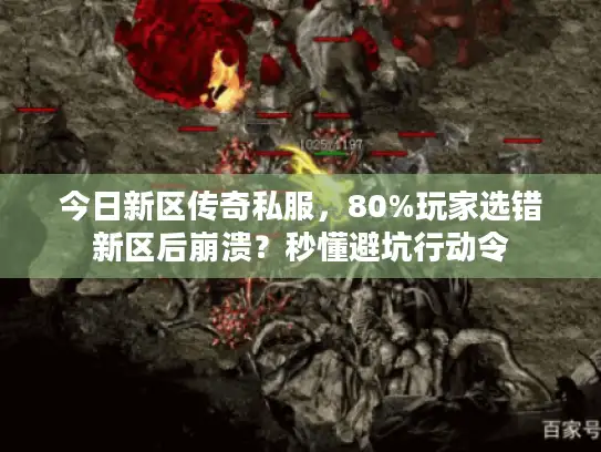 今日新区传奇私服，80%玩家选错新区后崩溃？秒懂避坑行动令