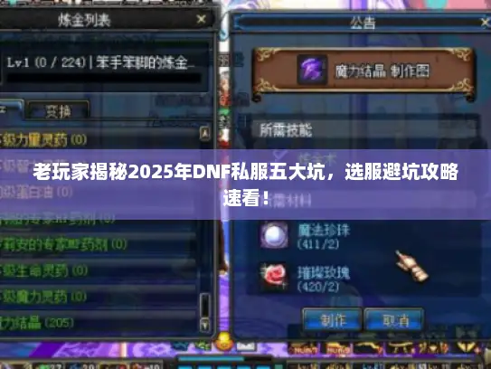 老玩家揭秘2025年DNF私服五大坑,选服避坑攻略速看! 老玩家揭秘2025年DNF私服五大坑,选服避坑攻略速看!