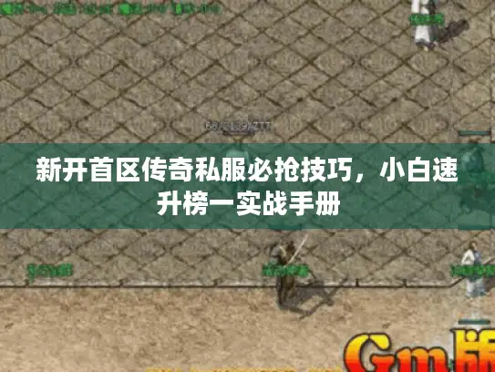 新开首区传奇私服必抢技巧，小白速升榜一实战手册