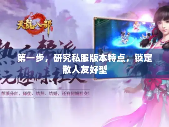 第一步,研究私服版本特点,锁定散人友好型 第一步,研究私服版本特点,锁定散人友好型