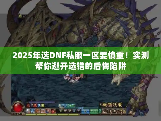 2025年选DNF私服一区要慎重！实测帮你避开选错的后悔陷阱
