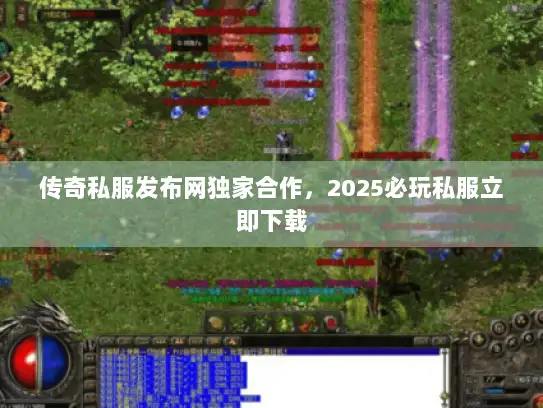 传奇私服发布网独家合作，2025必玩私服立即下载