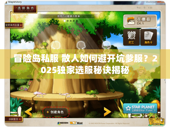 冒险岛私服 散人如何避开坑爹服？2025独家选服秘诀揭秘