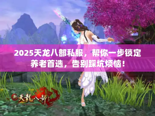 2025天龙八部私服，帮你一步锁定养老首选，告别踩坑烦恼！