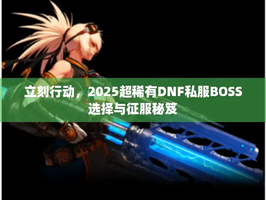 立刻行动,2025超稀有DNF私服BOSS选择与征服秘笈 立刻行动,2025超稀有DNF私服BOSS选择与征服秘笈