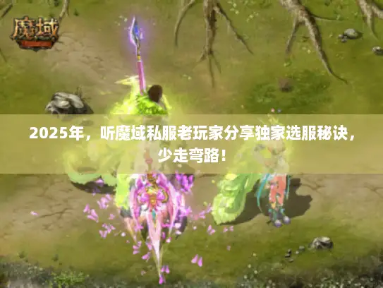 2025年，听魔域私服老玩家分享独家选服秘诀，少走弯路！