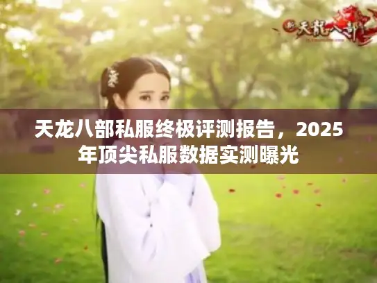 天龙八部私服终极评测报告，2025年顶尖私服数据实测曝光