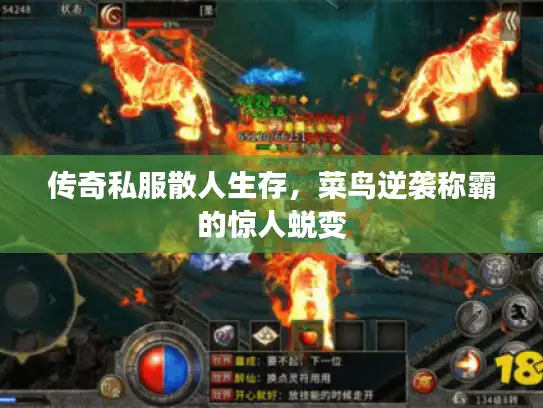 传奇私服散人生存，菜鸟逆袭称霸的惊人蜕变