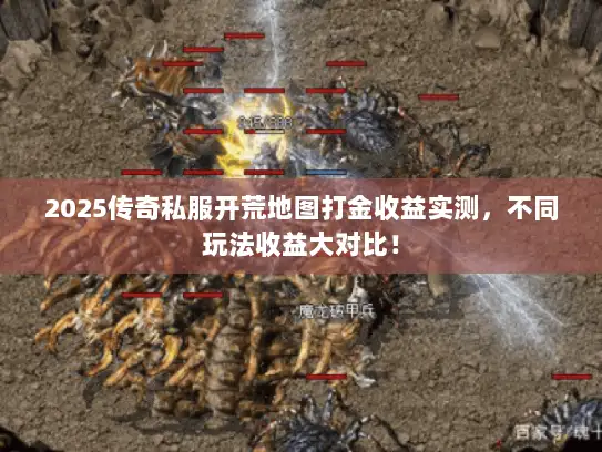2025传奇私服开荒地图打金收益实测，不同玩法收益大对比！