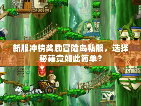 新服冲榜奖励冒险岛私服，选择秘籍竟如此简单？