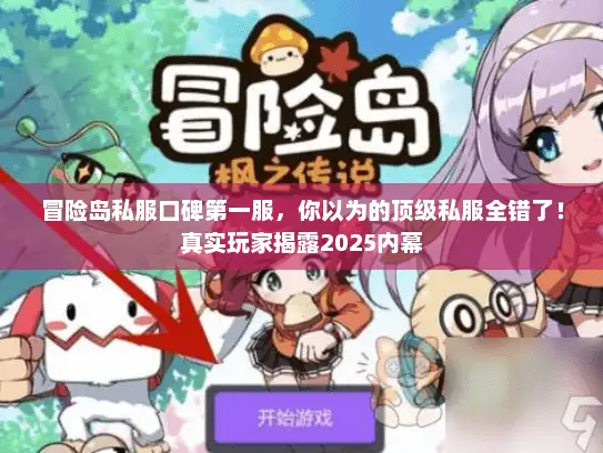 冒险岛私服口碑第一服，你以为的顶级私服全错了！真实玩家揭露2025内幕