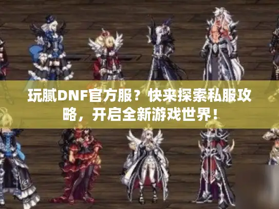 玩腻DNF官方服？快来探索私服攻略，开启全新游戏世界！