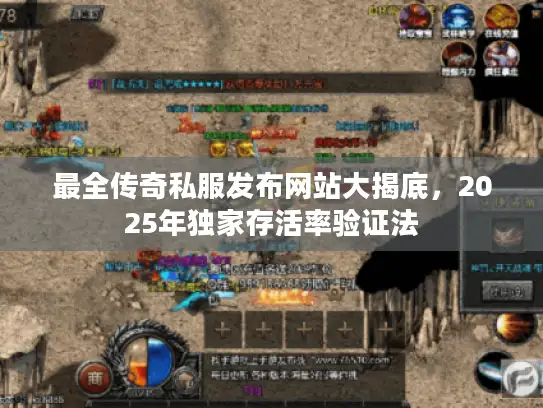 最全传奇私服发布网站大揭底,2025年独家存活率验证法 最全传奇私服发布网站大揭底,2025年独家存活率验证法