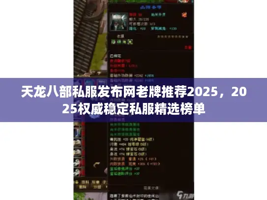 天龙八部私服发布网老牌推荐2025，2025权威稳定私服精选榜单