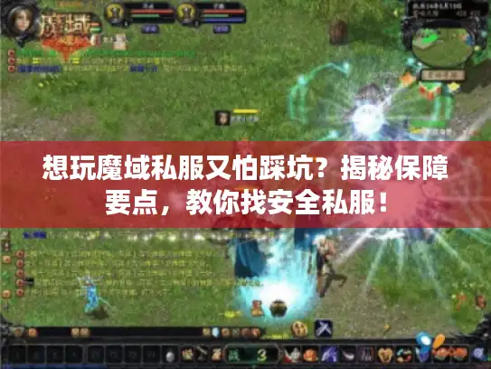 想玩魔域私服又怕踩坑？揭秘保障要点，教你找安全私服！