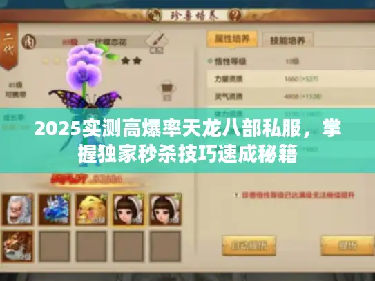 2025实测高爆率天龙八部私服，掌握独家秒杀技巧速成秘籍