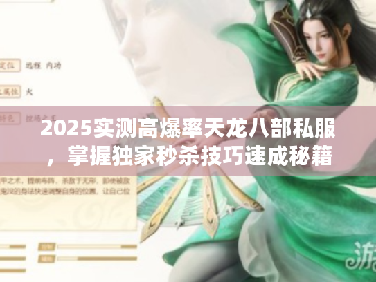 2025实测高爆率天龙八部私服，掌握独家秒杀技巧速成秘籍