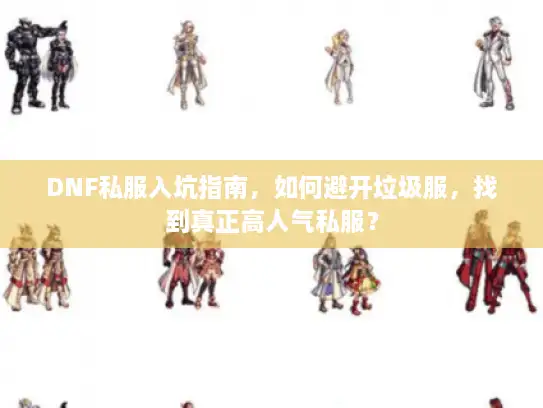 DNF私服入坑指南，如何避开垃圾服，找到真正高人气私服？