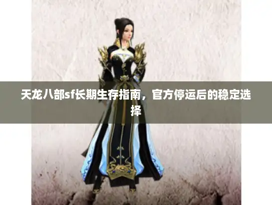 天龙八部sf长期生存指南，官方停运后的稳定选择