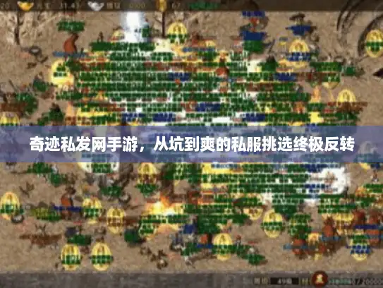 奇迹私发网手游，从坑到爽的私服挑选终极反转