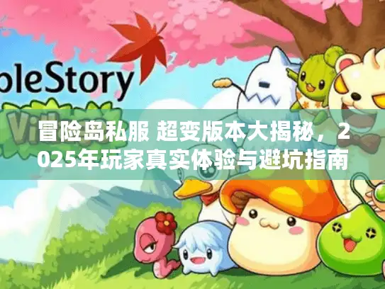 冒险岛私服 超变版本大揭秘，2025年玩家真实体验与避坑指南