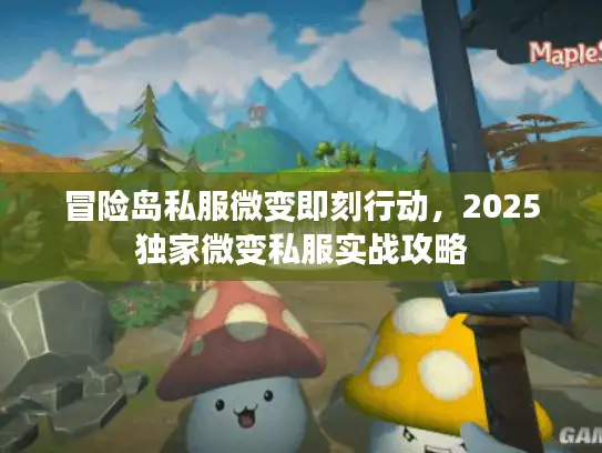 冒险岛私服微变即刻行动，2025独家微变私服实战攻略