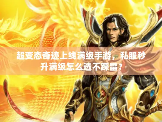 超变态奇迹上线满级手游，私服秒升满级怎么选不踩雷？