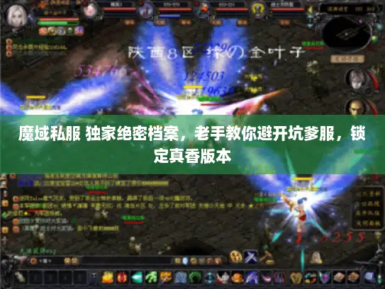 魔域私服 独家绝密档案，老手教你避开坑爹服，锁定真香版本