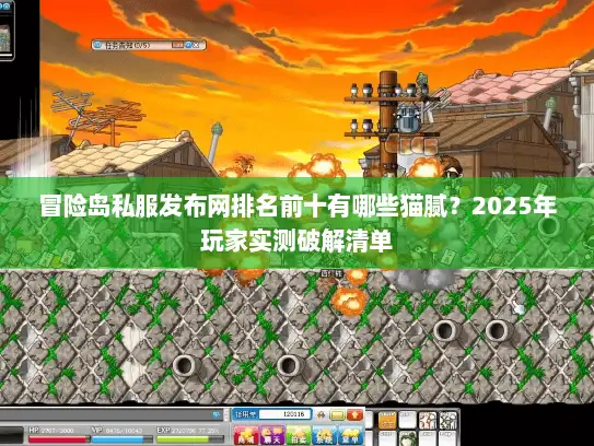 冒险岛私服发布网排名前十有哪些猫腻？2025年玩家实测破解清单