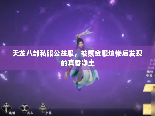 天龙八部私服公益服，被氪金服坑惨后发现的真香净土