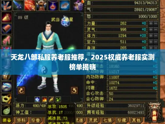 天龙八部私服养老服推荐,2025权威养老服实测榜单揭晓 天龙八部私服养老服推荐,2025权威养老服实测榜单揭晓