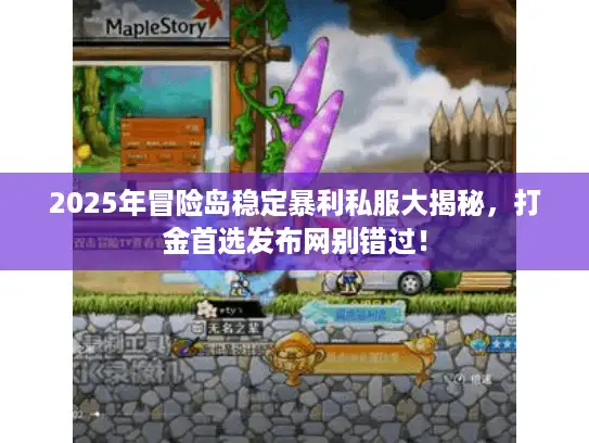 2025年冒险岛稳定暴利私服大揭秘，打金首选发布网别错过！