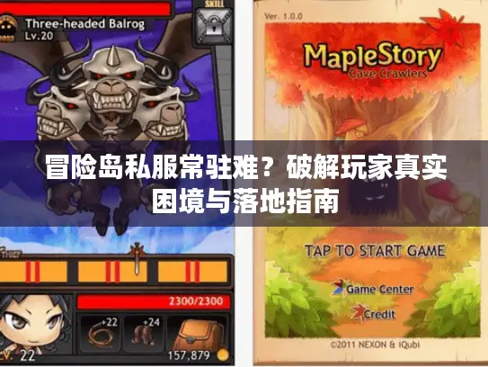 冒险岛私服常驻难？破解玩家真实困境与落地指南