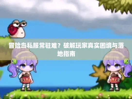 冒险岛私服常驻难？破解玩家真实困境与落地指南