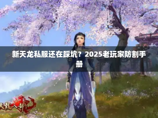 新天龙私服还在踩坑？2025老玩家防割手册