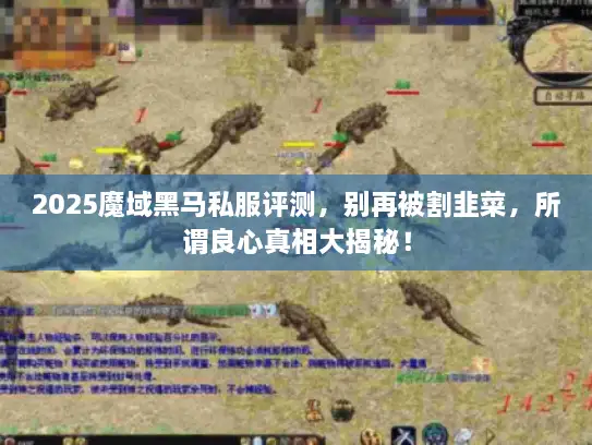 2025魔域黑马私服评测，别再被割韭菜，所谓良心真相大揭秘！