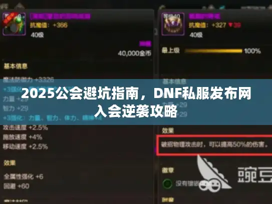 2025公会避坑指南，DNF私服发布网入会逆袭攻略