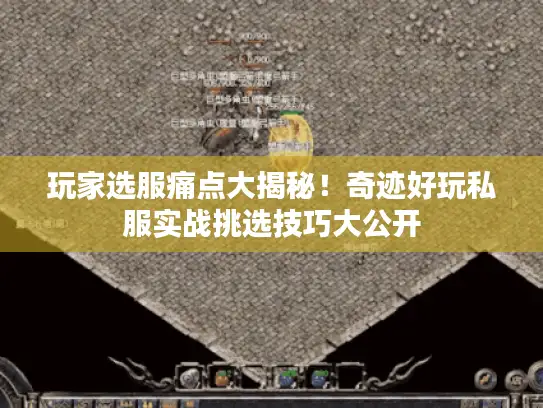 玩家选服痛点大揭秘！奇迹好玩私服实战挑选技巧大公开