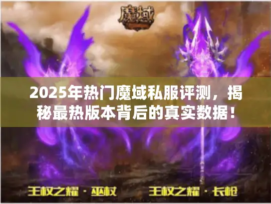 2025年热门魔域私服评测，揭秘最热版本背后的真实数据！