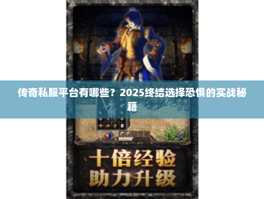传奇私服平台有哪些？2025终结选择恐惧的实战秘籍