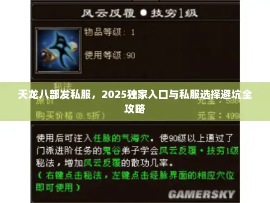 天龙八部发私服，2025独家入口与私服选择避坑全攻略