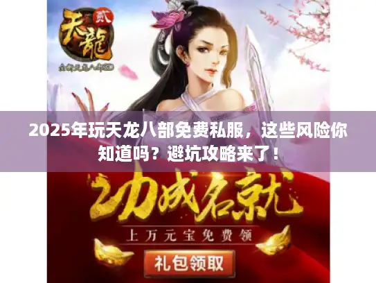 2025年玩天龙八部免费私服，这些风险你知道吗？避坑攻略来了！