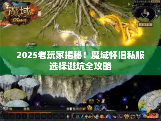 2025老玩家揭秘！魔域怀旧私服选择避坑全攻略